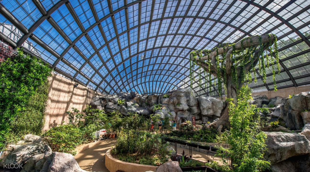 Klook Exclusive Entopia By Penang Butterfly Farm